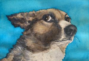 Dünhölter Duenhoelter