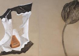 Lasche Kurs Stillleben